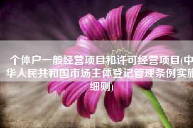 个体户一般经营项目和许可经营项目(中华人民共和国市场主体登记管理条例实施细则)