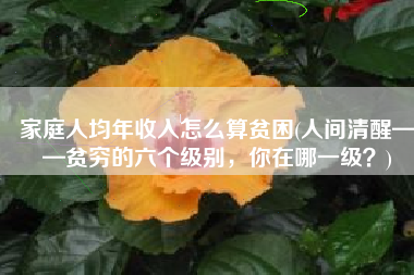 家庭人均年收入怎么算贫困(人间清醒——贫穷的六个级别，你在哪一级？)