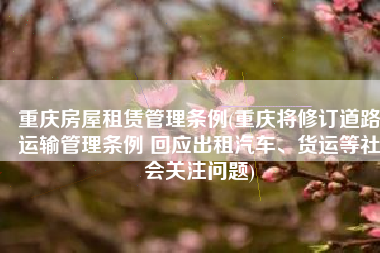 重庆房屋租赁管理条例(重庆将修订道路运输管理条例 回应出租汽车、货运等社会关注问题)