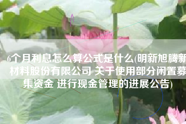 6个月利息怎么算公式是什么(明新旭腾新材料股份有限公司 关于使用部分闲置募集资金 进行现金管理的进展公告)