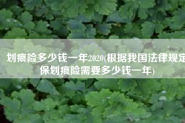 划痕险多少钱一年2020(根据我国法律规定保划痕险需要多少钱一年)
