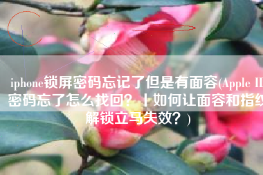 iphone锁屏密码忘记了但是有面容(Apple ID密码忘了怎么找回？丨如何让面容和指纹解锁立马失效？)