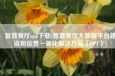 智慧餐厅app下载(智慧餐饮大数据平台建设和运营一体化解决方案（PPT）)
