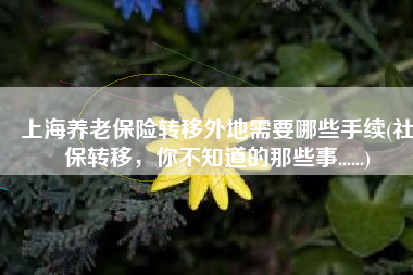 上海养老保险转移外地需要哪些手续(社保转移，你不知道的那些事......)