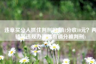 违章买分人抓住判刑吗(销1分收10元？两辅警违规办理驾照销分被判刑)