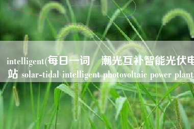 intelligent(每日一词∣潮光互补智能光伏电站 solar-tidal intelligent photovoltaic power plant)