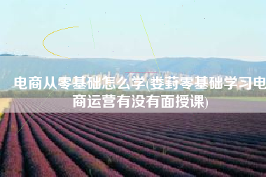 电商从零基础怎么学(娄葑零基础学习电商运营有没有面授课)