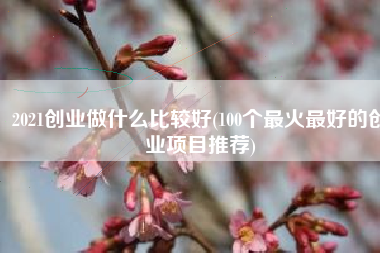 2021创业做什么比较好(100个最火最好的创业项目推荐)