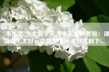 韦东奕(北大数学天才韦东奕的苦恼：课讲得不太好，中期学生退课后就剩下5、6个人)