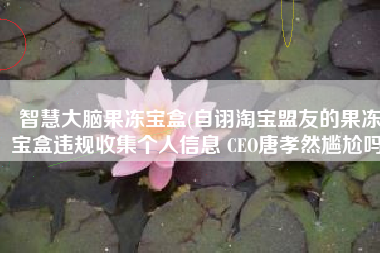 智慧大脑果冻宝盒(自诩淘宝盟友的果冻宝盒违规收集个人信息 CEO唐孝然尴尬吗)