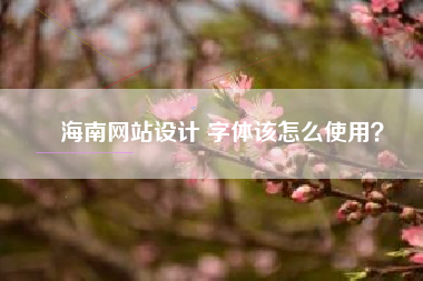 海南网站设计 字体该怎么使用？