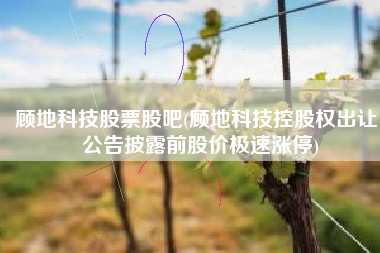顾地科技股票股吧(顾地科技控股权出让 公告披露前股价极速涨停)