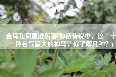 金乌和凤凰谁厉害(神话传说中，这二十一种名气最大的神鸟，你了解几种？)