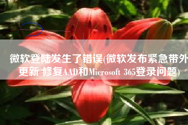 微软登陆发生了错误(微软发布紧急带外更新 修复AAD和Microsoft 365登录问题)