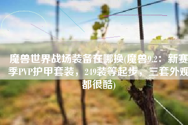 魔兽世界战场装备在哪换(魔兽9.2：新赛季PVP护甲套装，249装等起步，三套外观都很酷)