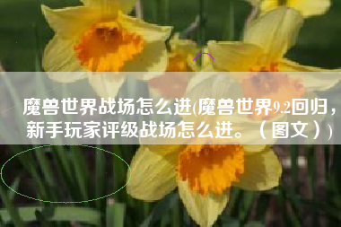 魔兽世界战场怎么进(魔兽世界9.2回归，新手玩家评级战场怎么进。（图文）)