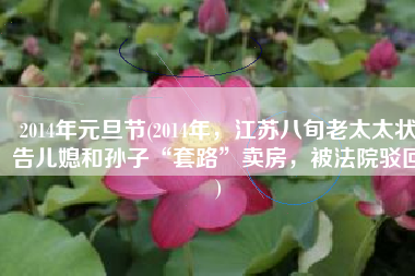 2014年元旦节(2014年，江苏八旬老太太状告儿媳和孙子“套路”卖房，被法院驳回)