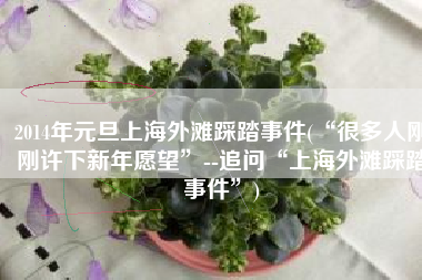 2014年元旦上海外滩踩踏事件(“很多人刚刚许下新年愿望”--追问“上海外滩踩踏事件”)