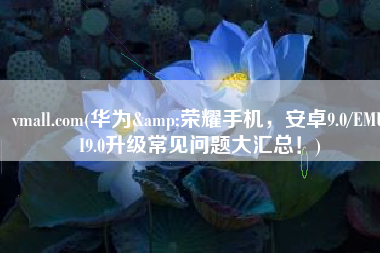 vmall.com(华为&荣耀手机，安卓9.0/EMUI9.0升级常见问题大汇总！)