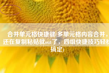 合并单元格快捷键(多单元格内容合并，还在复制粘贴就out了，四组快捷技巧轻松搞定)