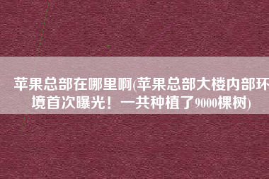 苹果总部在哪里啊(苹果总部大楼内部环境首次曝光！一共种植了9000棵树)
