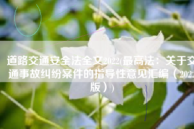 道路交通安全法全文2022(最高法：关于交通事故纠纷案件的指导性意见汇编（2022版）)