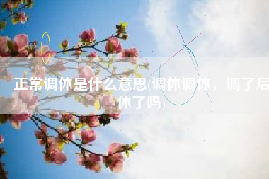 正常调休是什么意思(调休调休，调了后休了吗)