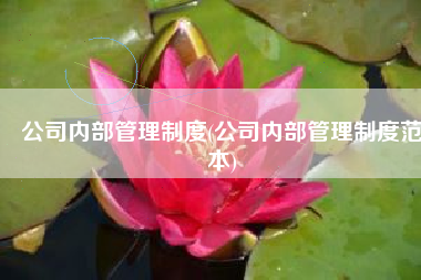 公司内部管理制度(公司内部管理制度范本)