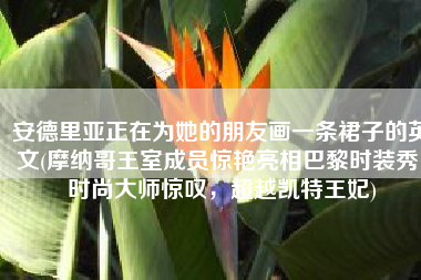 安德里亚正在为她的朋友画一条裙子的英文(摩纳哥王室成员惊艳亮相巴黎时装秀，时尚大师惊叹，超越凯特王妃)