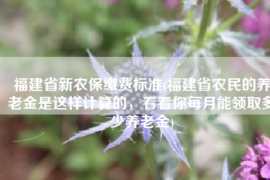 福建省新农保缴费标准(福建省农民的养老金是这样计算的，看看你每月能领取多少养老金)