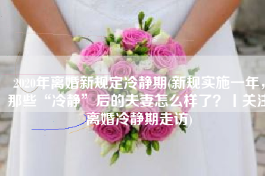 2020年离婚新规定冷静期(新规实施一年，那些“冷静”后的夫妻怎么样了？丨关注离婚冷静期走访)