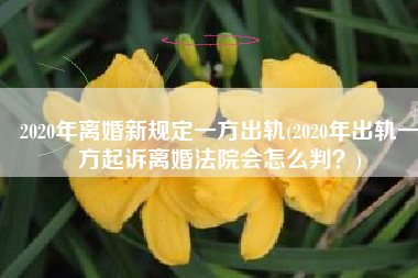 2020年离婚新规定一方出轨(2020年出轨一方起诉离婚法院会怎么判？)