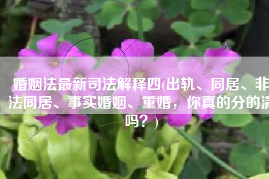 婚姻法最新司法解释四(出轨、同居、非法同居、事实婚姻、重婚，你真的分的清吗？)