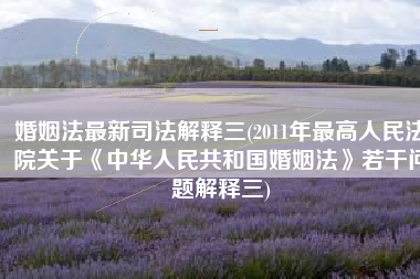 婚姻法最新司法解释三(2011年最高人民法院关于《中华人民共和国婚姻法》若干问题解释三)