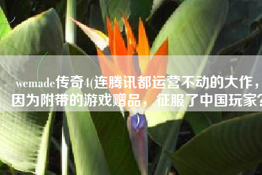 wemade传奇4(连腾讯都运营不动的大作，因为附带的游戏赠品，征服了中国玩家？)