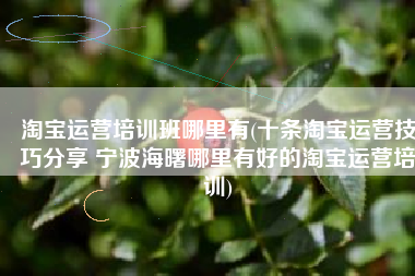 淘宝运营培训班哪里有(十条淘宝运营技巧分享 宁波海曙哪里有好的淘宝运营培训)