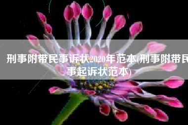 刑事附带民事诉状2020年范本(刑事附带民事起诉状范本)