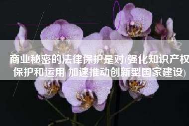 商业秘密的法律保护是对(强化知识产权保护和运用 加速推动创新型国家建设)