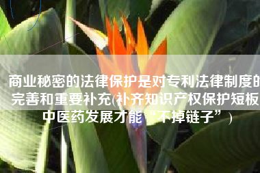 商业秘密的法律保护是对专利法律制度的完善和重要补充(补齐知识产权保护短板 中医药发展才能“不掉链子”)