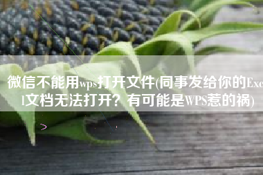微信不能用wps打开文件(同事发给你的Excel文档无法打开？有可能是WPS惹的祸)