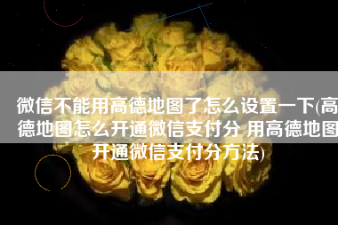 微信不能用高德地图了怎么设置一下(高德地图怎么开通微信支付分 用高德地图开通微信支付分方法)
