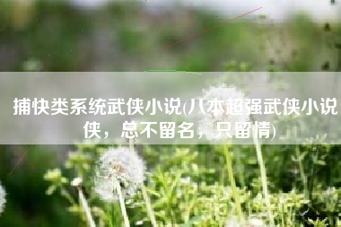 捕快类系统武侠小说(八本超强武侠小说，侠，总不留名，只留情)