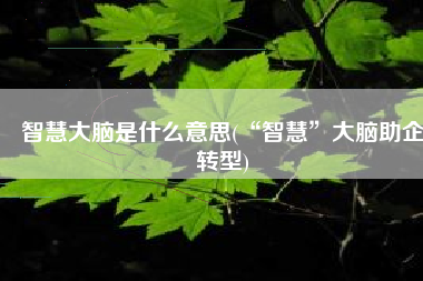 智慧大脑是什么意思(“智慧”大脑助企转型)
