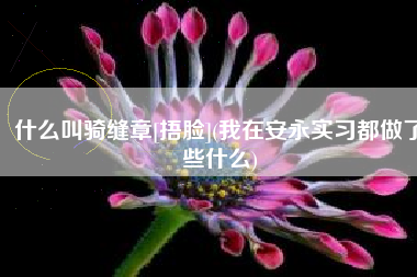 什么叫骑缝章[捂脸](我在安永实习都做了些什么)