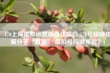 170上海虚拟运营商是诈骗吗(170号段成诈骗分子“首选” 虚拟号段谁来管？)