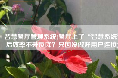 智慧餐厅管理系统(餐厅上了“智慧系统”后效率不升反降？只因没做好用户连接)