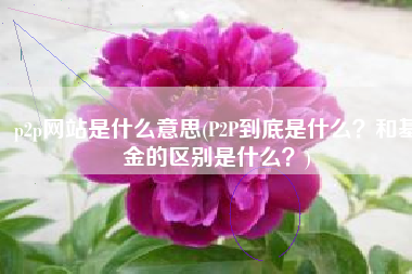 p2p网站是什么意思(P2P到底是什么？和基金的区别是什么？)