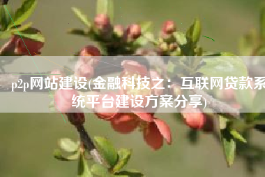 p2p网站建设(金融科技之：互联网贷款系统平台建设方案分享)