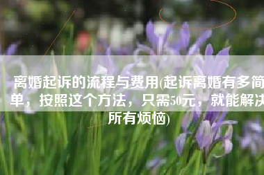 离婚起诉的流程与费用(起诉离婚有多简单，按照这个方法，只需50元，就能解决所有烦恼)