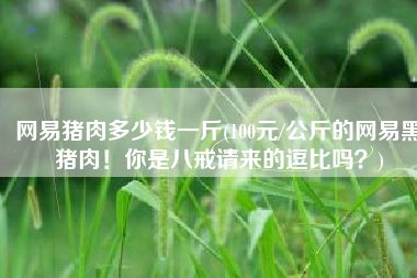 网易猪肉多少钱一斤(100元/公斤的网易黑猪肉！你是八戒请来的逗比吗？)